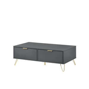 ARDEN COFFEE TABLE (2 DRAWER)
